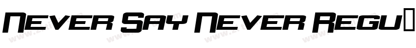 Never Say Never Regu字体转换